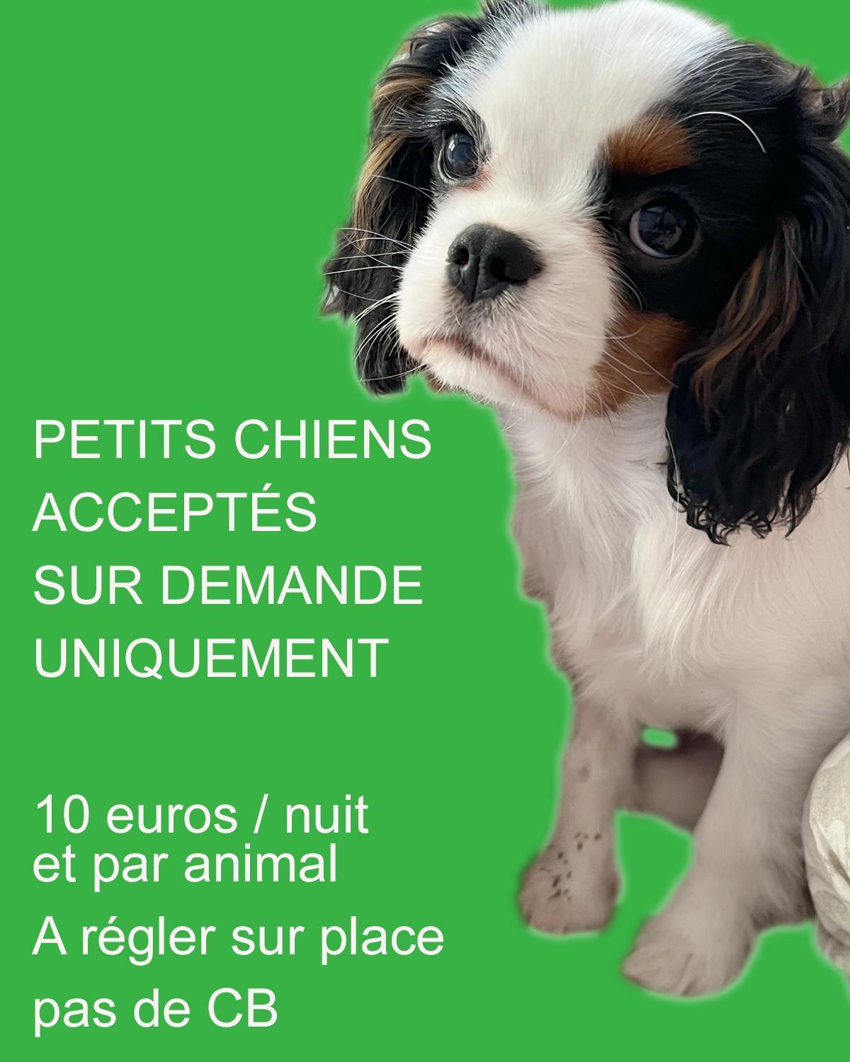 La Source Appartement Saint-Saturnin-de-Lucian
